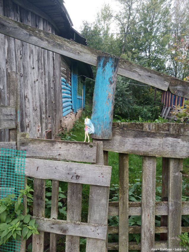 Мемные фото или я - фотограф Алексиз (фото 2)