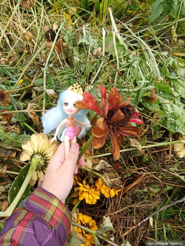 Мемные фото или я - фотограф Алексиз (фото 6)