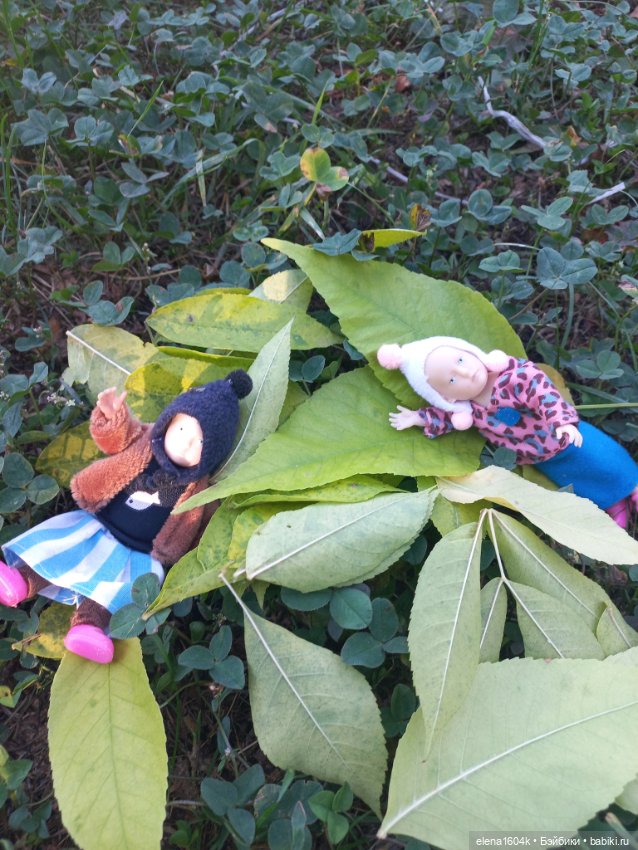 Осенняя прогулка Минимирок (фото 6)