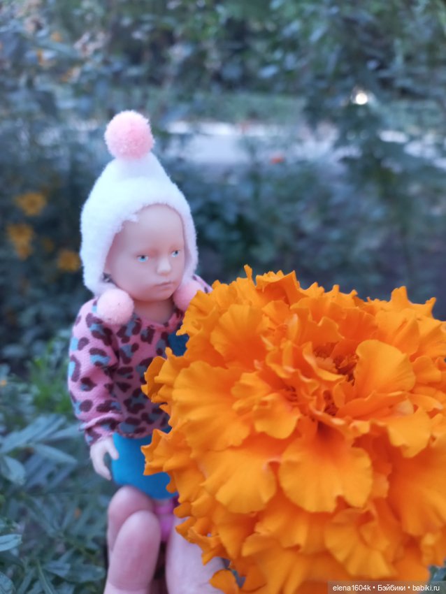 Осенняя прогулка Минимирок (фото 5)