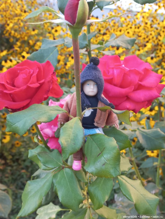 Осенняя прогулка Минимирок