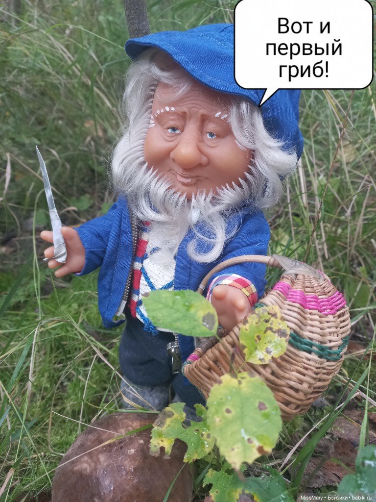 Весёлые картинки. Как Иваныч по грибы ходил