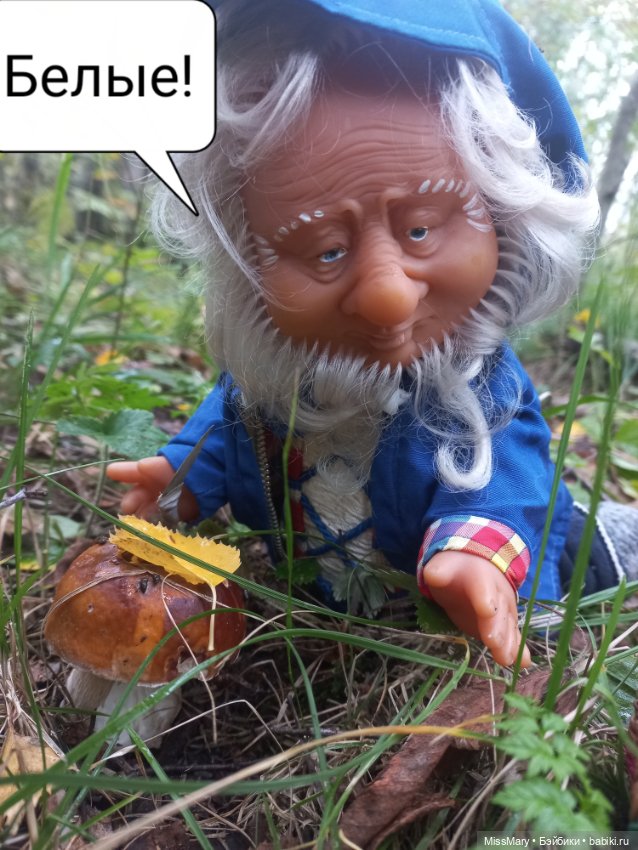 Весёлые картинки. Как Иваныч по грибы ходил (фото 6)