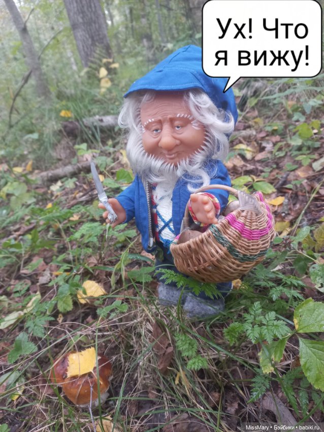 Весёлые картинки. Как Иваныч по грибы ходил (фото 5)