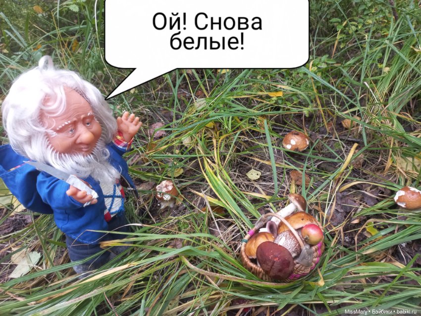 Весёлые картинки. Как Иваныч по грибы ходил