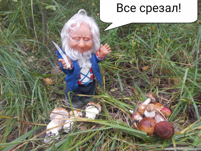 Весёлые картинки. Как Иваныч по грибы ходил