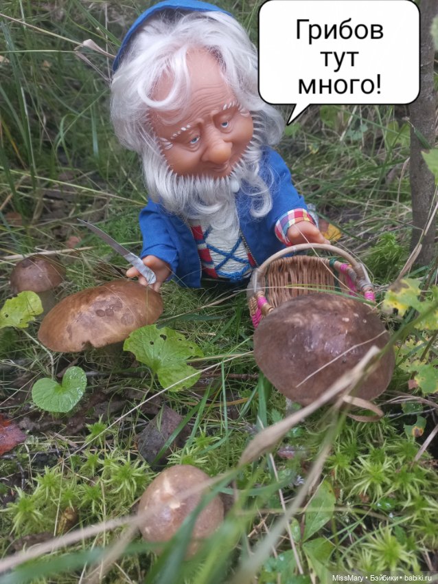 Весёлые картинки. Как Иваныч по грибы ходил (фото 2)