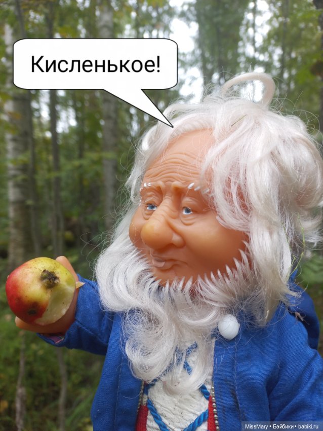 Весёлые картинки. Как Иваныч по грибы ходил