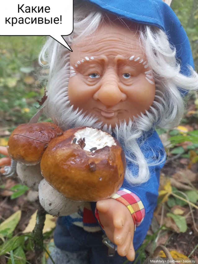 Весёлые картинки. Как Иваныч по грибы ходил (фото 8)