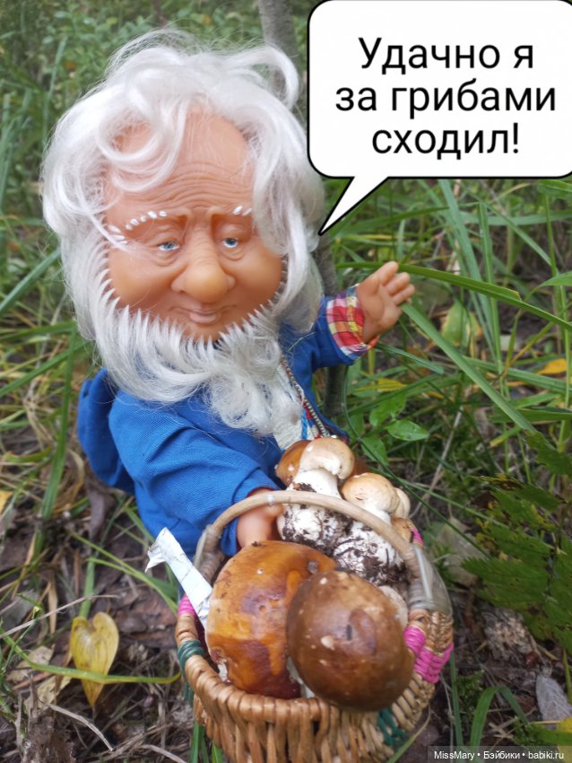 Весёлые картинки. Как Иваныч по грибы ходил