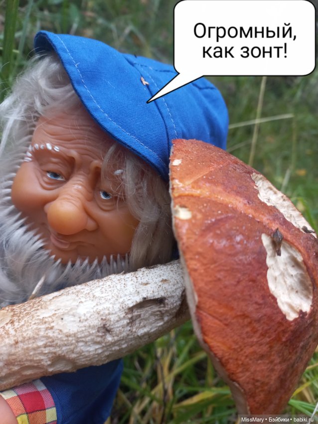 Весёлые картинки. Как Иваныч по грибы ходил