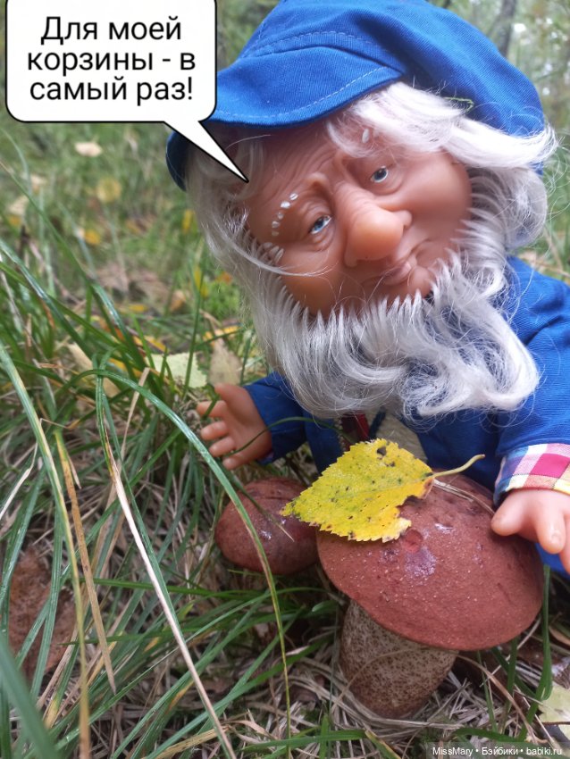 Весёлые картинки. Как Иваныч по грибы ходил