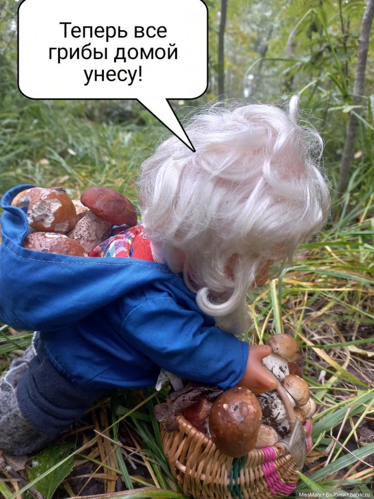 Весёлые картинки. Как Иваныч по грибы ходил