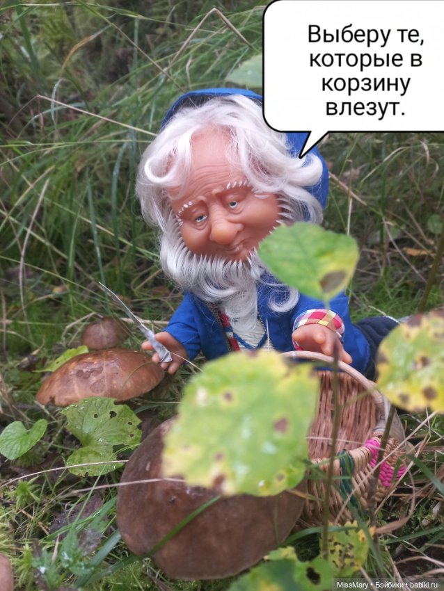 Весёлые картинки. Как Иваныч по грибы ходил (фото 3)