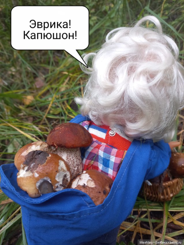 Весёлые картинки. Как Иваныч по грибы ходил