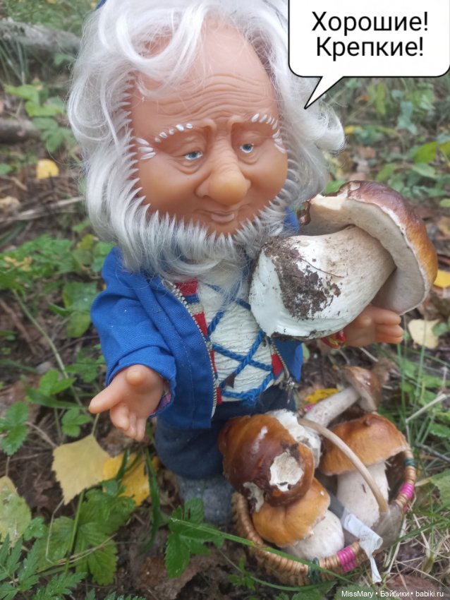 Весёлые картинки. Как Иваныч по грибы ходил