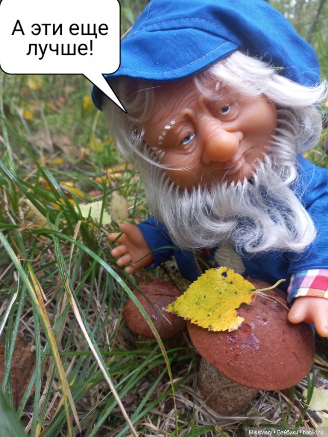 Весёлые картинки. Как Иваныч по грибы ходил