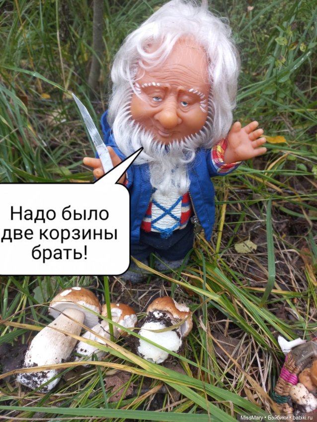 Весёлые картинки. Как Иваныч по грибы ходил