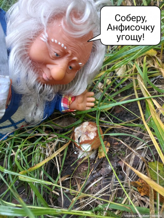 Весёлые картинки. Как Иваныч по грибы ходил