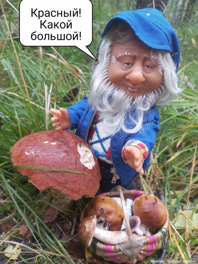 Весёлые картинки. Как Иваныч по грибы ходил