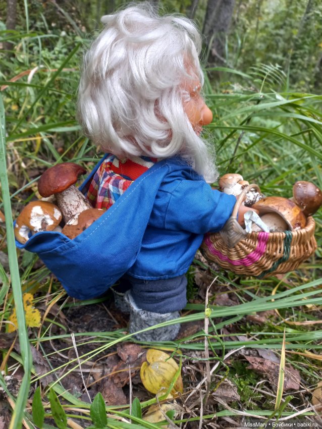 Весёлые картинки. Как Иваныч по грибы ходил