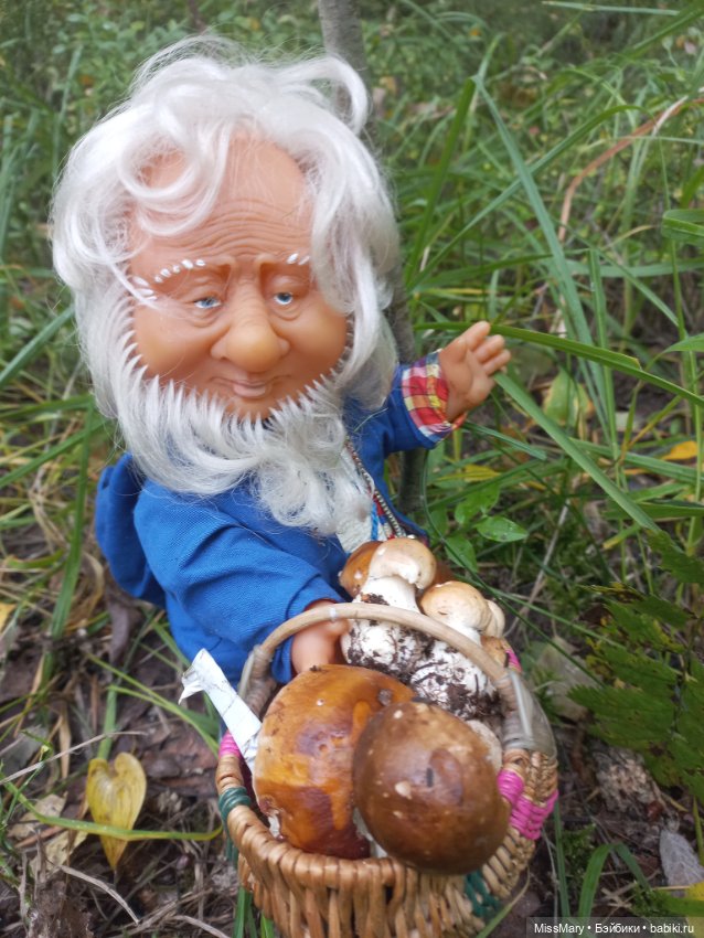 Весёлые картинки. Как Иваныч по грибы ходил