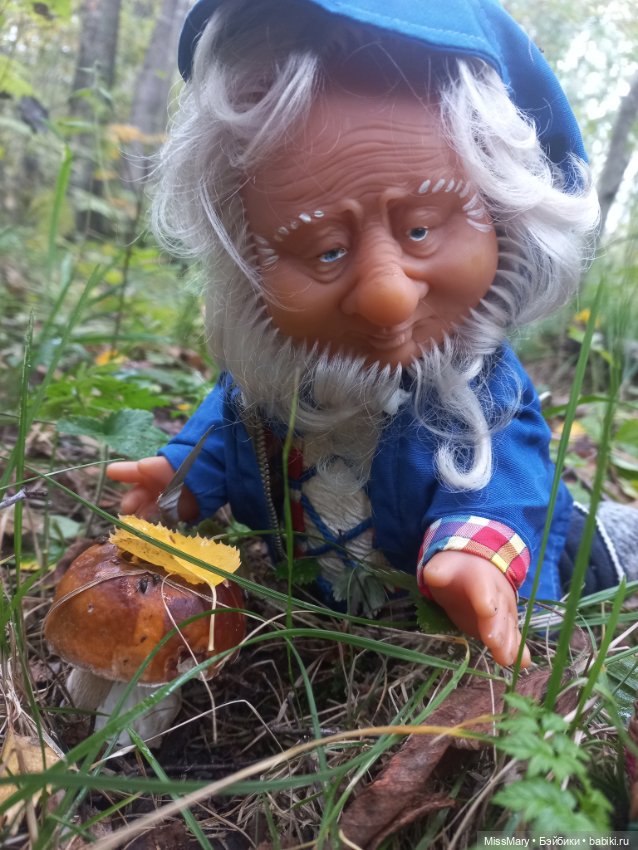 Весёлые картинки. Как Иваныч по грибы ходил (фото 7)