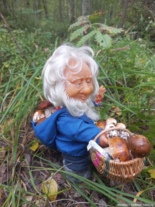 Весёлые картинки. Как Иваныч по грибы ходил