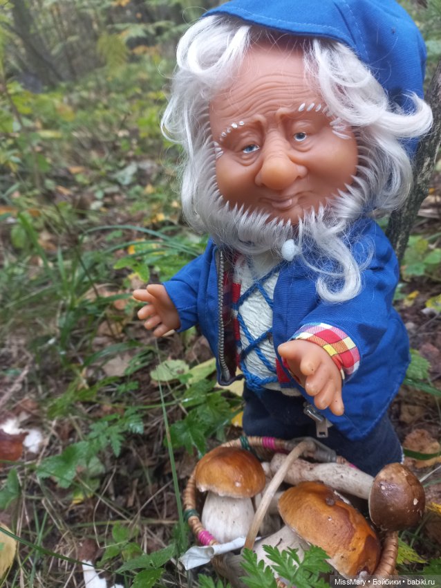 Весёлые картинки. Как Иваныч по грибы ходил