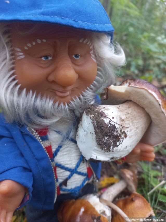 Весёлые картинки. Как Иваныч по грибы ходил (фото 10)