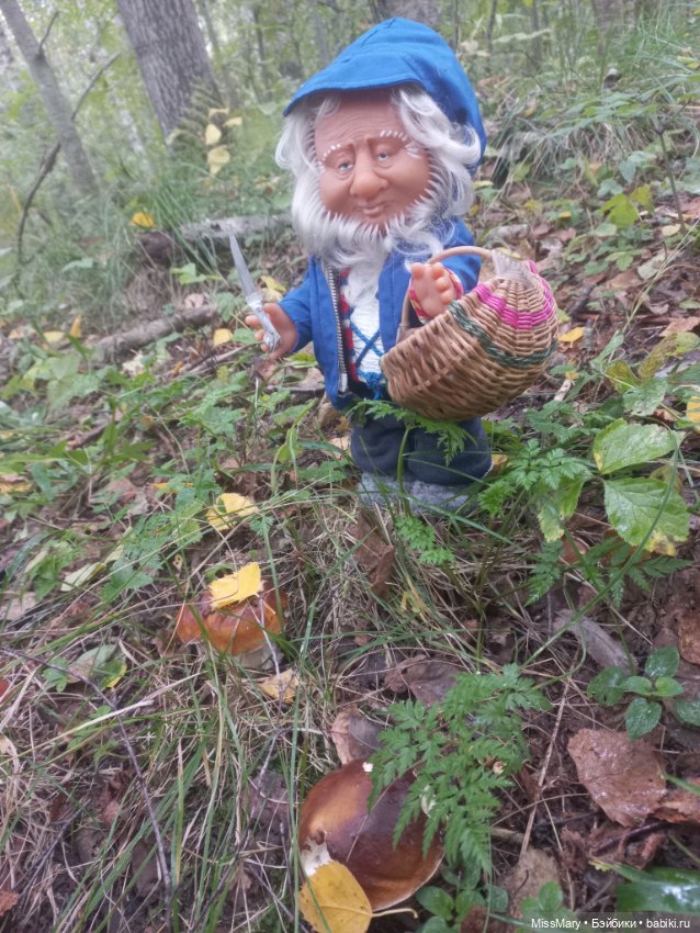 Весёлые картинки. Как Иваныч по грибы ходил (фото 4)