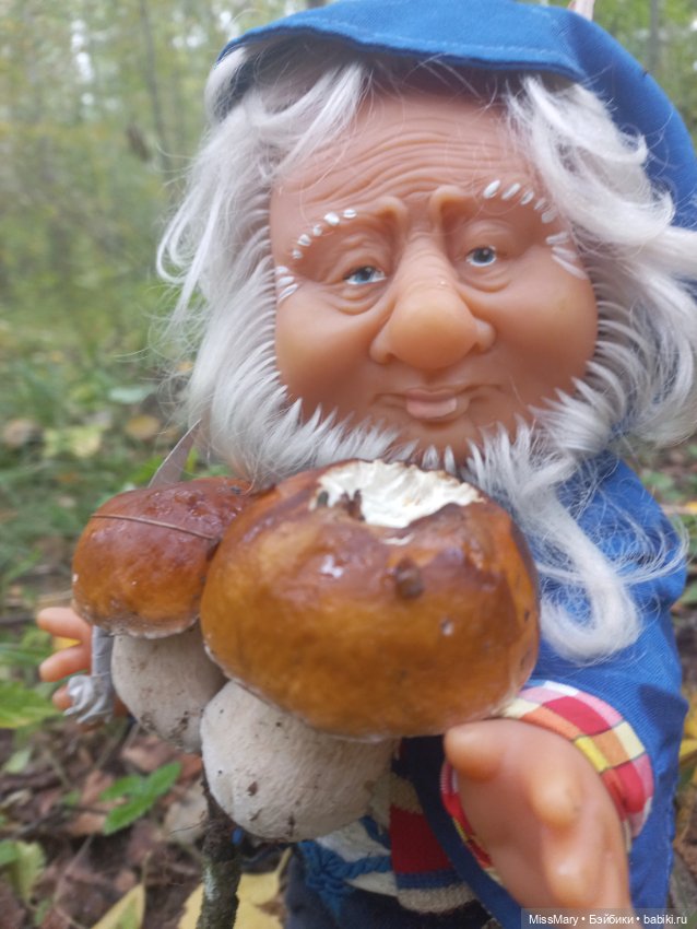 Весёлые картинки. Как Иваныч по грибы ходил (фото 9)