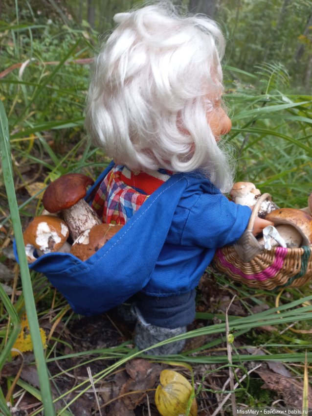 Весёлые картинки. Как Иваныч по грибы ходил