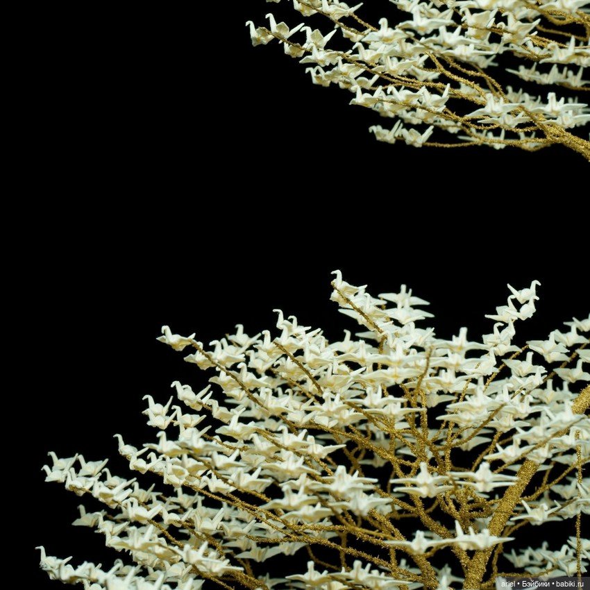 Необычные деревья-бонсай от Наоки Оногава (Naoki Onogawa)