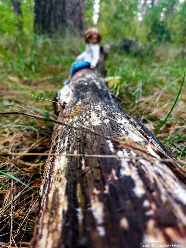 Прогулки с крошкой Джо — Гибриды шарнирных кукол (не БЖД): подбор тела (фото 4)