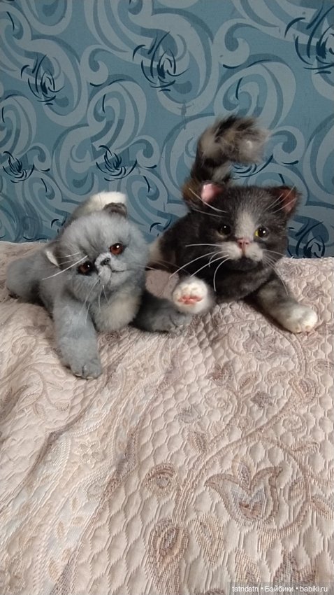 Шустрый малыш — Авторские мишки Тедди и друзья: фото