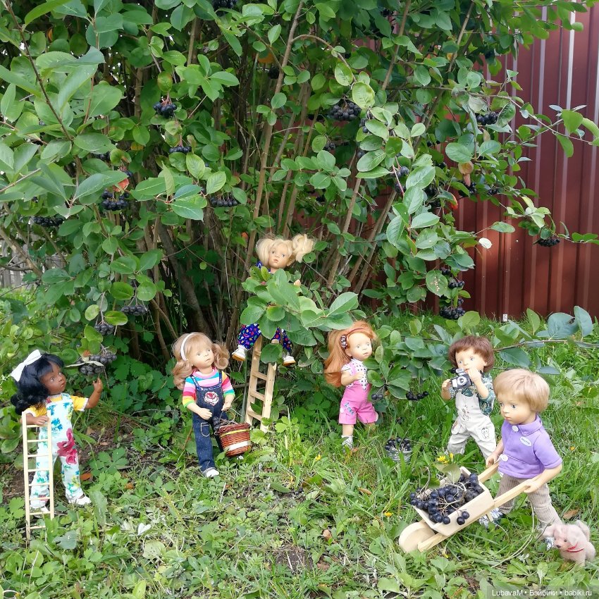 Фото отчет по теме, как я провел лето