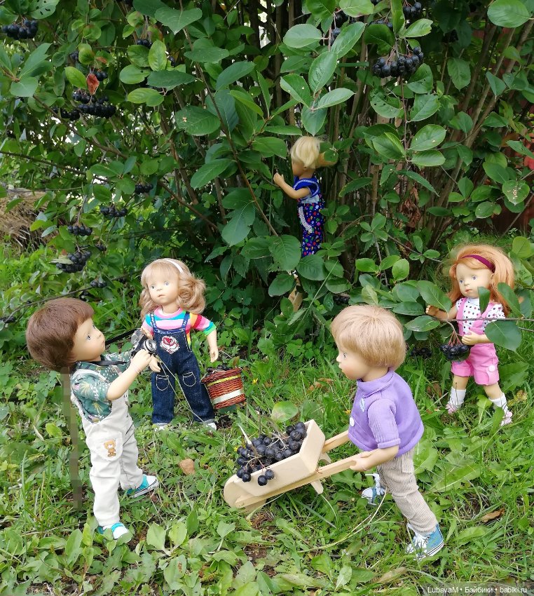 Фото отчет по теме, как я провел лето