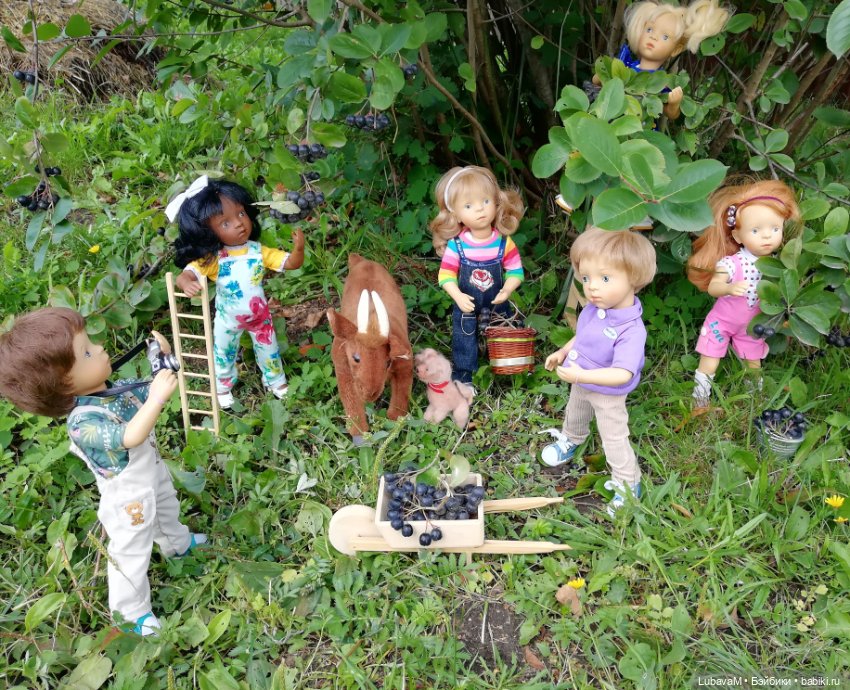 Фото отчет по теме, как я провел лето