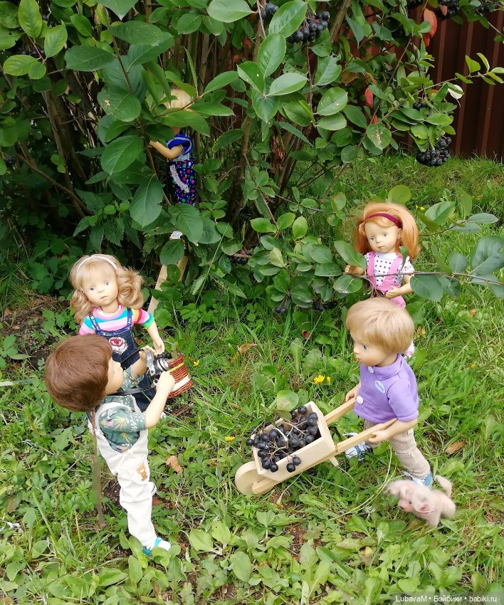 Фото отчет по теме, как я провел лето