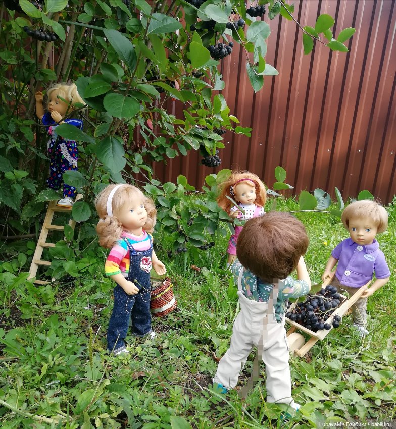 Фото отчет по теме, как я провел лето