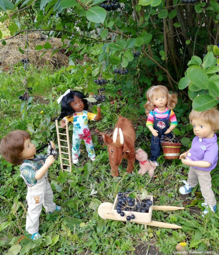 Фото отчет по теме, как я провел лето