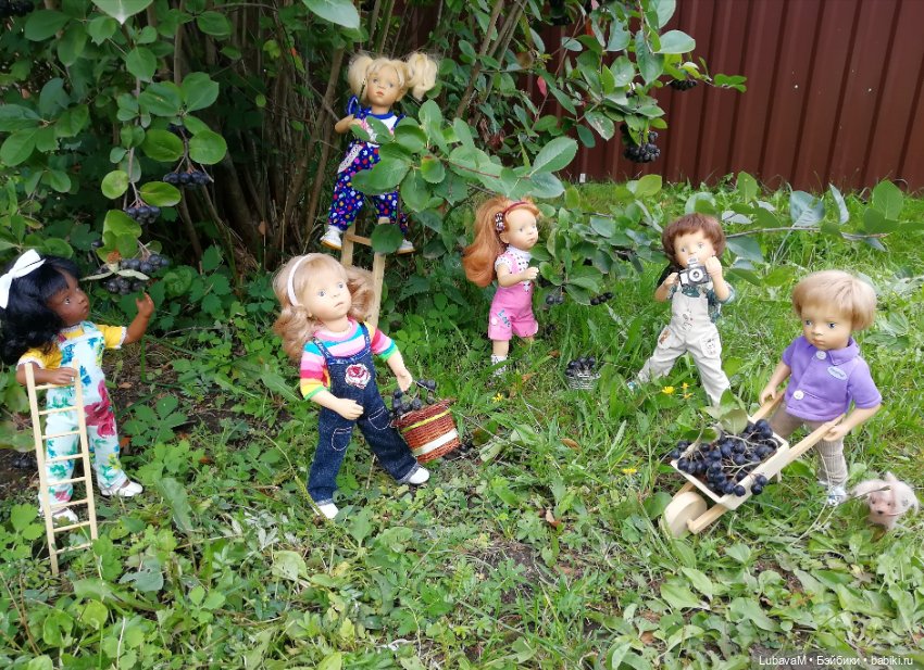 Фото отчет по теме, как я провел лето