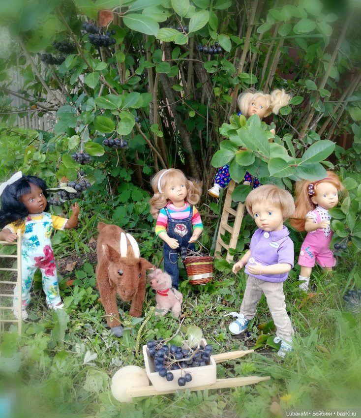 Фото отчет по теме, как я провел лето