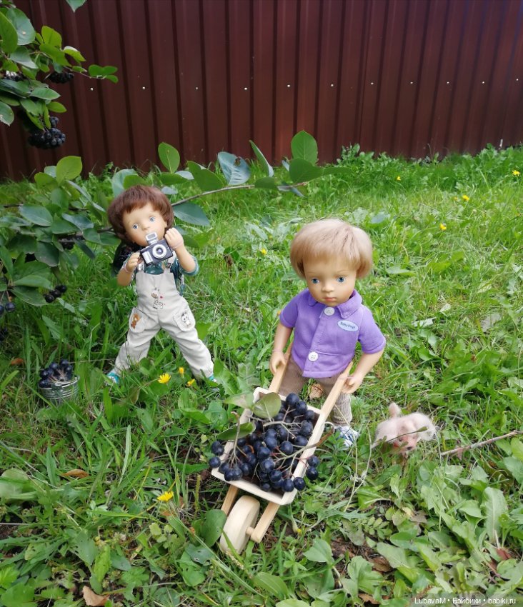 Фото отчет по теме, как я провел лето