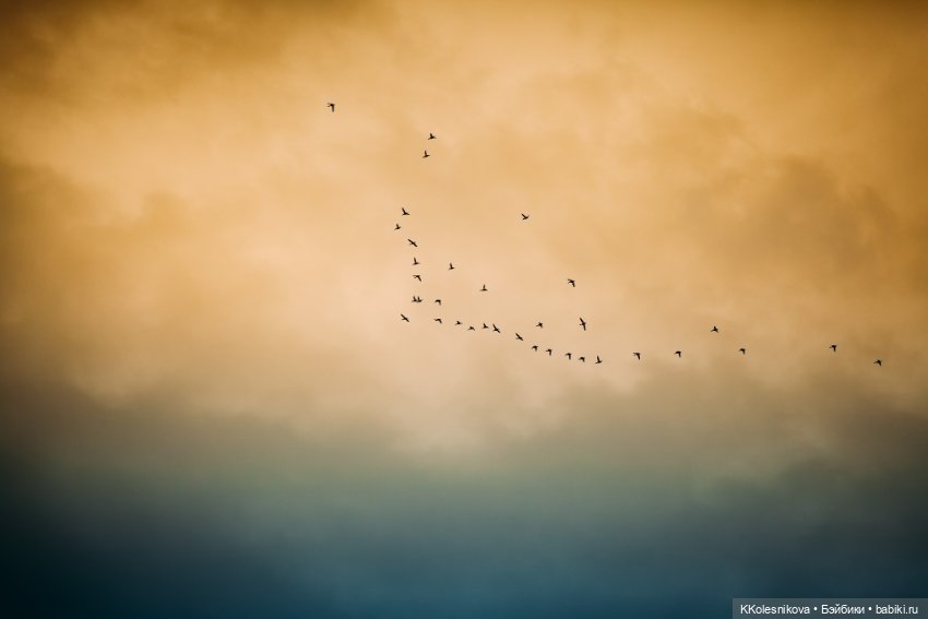 Ну вот наверное и всё - Лето кончилось (фото 5)