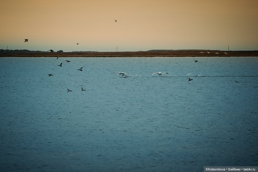Ну вот наверное и всё - Лето кончилось (фото 3)