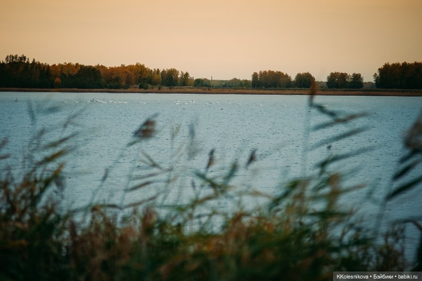Ну вот наверное и всё - Лето кончилось (фото 4)