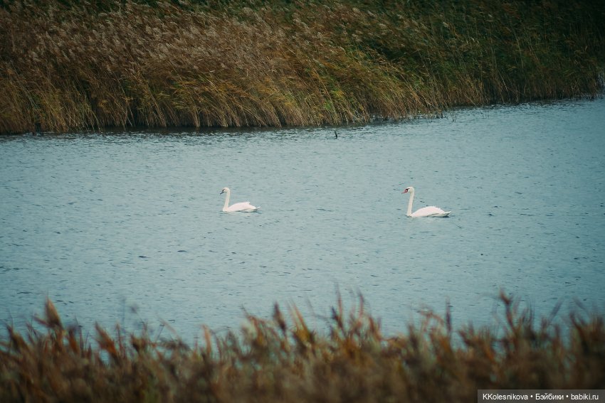 Ну вот наверное и всё - Лето кончилось (фото 6)