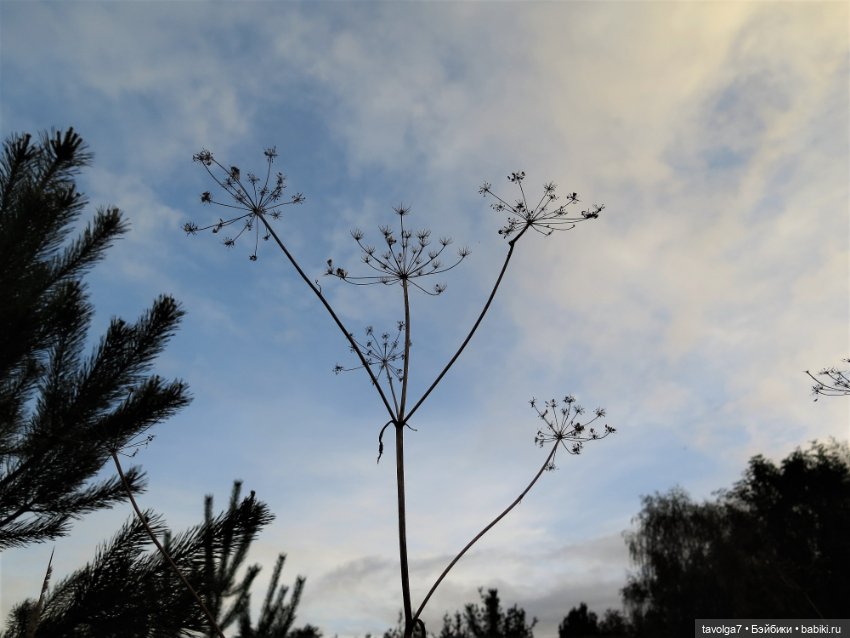 Дюймовочка и ранняя осень в Москве